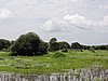 DSCN9371.JPG