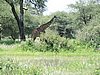 DSCN9372.JPG