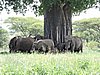 DSCN9379.JPG