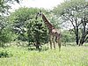 DSCN9386.JPG