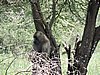 DSCN9388.JPG
