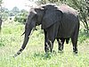 DSCN9393.JPG