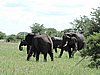 DSCN9395.JPG