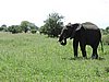 DSCN9404.JPG
