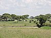 DSCN9409.JPG