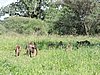 DSCN9415.JPG