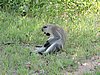 DSCN9417.JPG