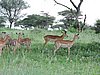 DSCN9420.JPG