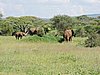 DSCN9421.JPG