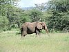 DSCN9424.JPG