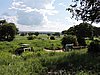 DSCN9425.JPG