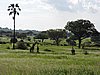 DSCN9426.JPG