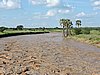 DSCN9434.JPG