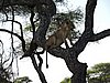 DSCN9449.JPG