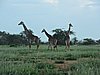 DSCN9461.JPG