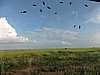 DSCN9464.JPG