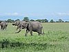 DSCN9472.JPG