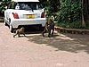 DSCN9476.JPG