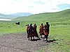 DSCN9484.JPG