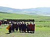 DSCN9485.JPG