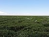 DSCN9507.JPG