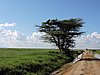 DSCN9509.JPG