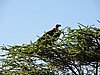 DSCN9510.JPG