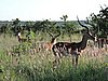 DSCN9519.JPG
