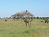 DSCN9522.JPG