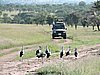 DSCN9524.JPG