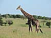 DSCN9531.JPG