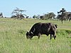 DSCN9541.JPG