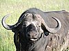 DSCN9543.JPG