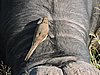 DSCN9548.JPG