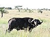 DSCN9551.JPG