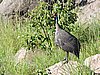 DSCN9555.JPG