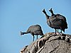 DSCN9561.JPG