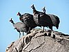DSCN9563.JPG