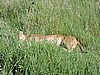 DSCN9567.JPG
