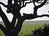 DSCN9568.JPG