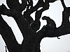 DSCN9573.JPG