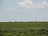 DSCN9577.JPG