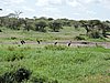 DSCN9578.JPG
