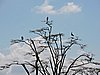 DSCN9582.JPG