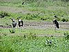 DSCN9584.JPG