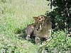 DSCN9605.JPG