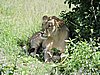 DSCN9607.JPG