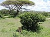 DSCN9609.JPG