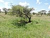 DSCN9610.JPG