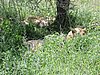 DSCN9611.JPG